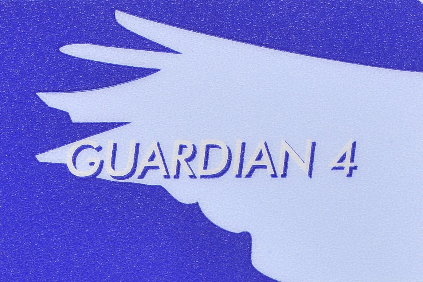 The New Guardian P4 - Image 6