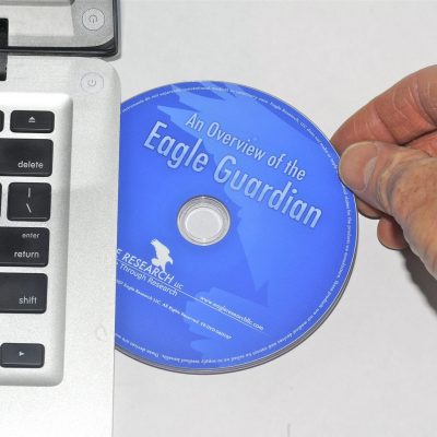 An Overview of the Eagle Guardian