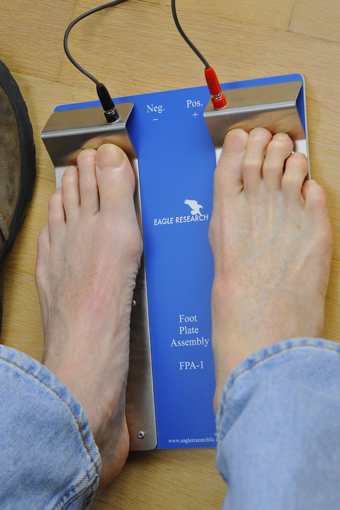 Foot Plate - Image 2