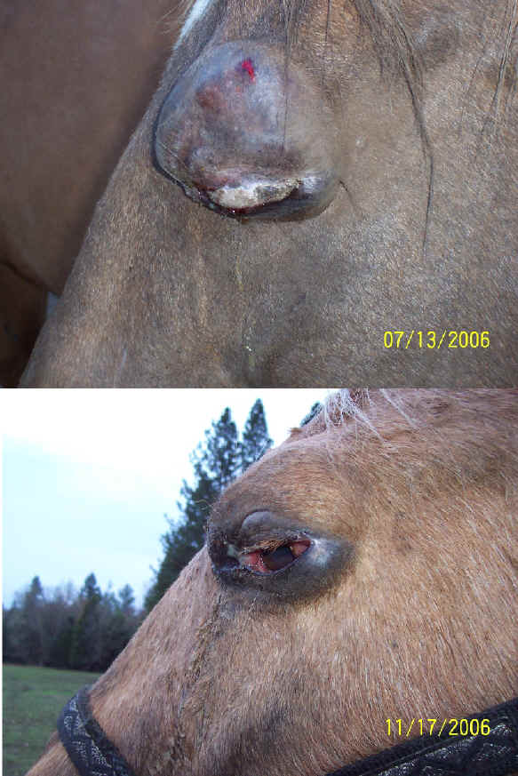 cindy--before-after